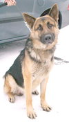Axel