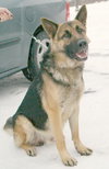 Axel