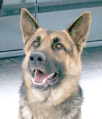 Axel