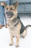 Axel