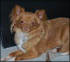 Roxanne