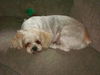 Bailey