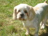 Bailey