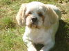 Bailey