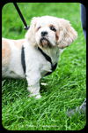 Bailey