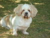Bailey