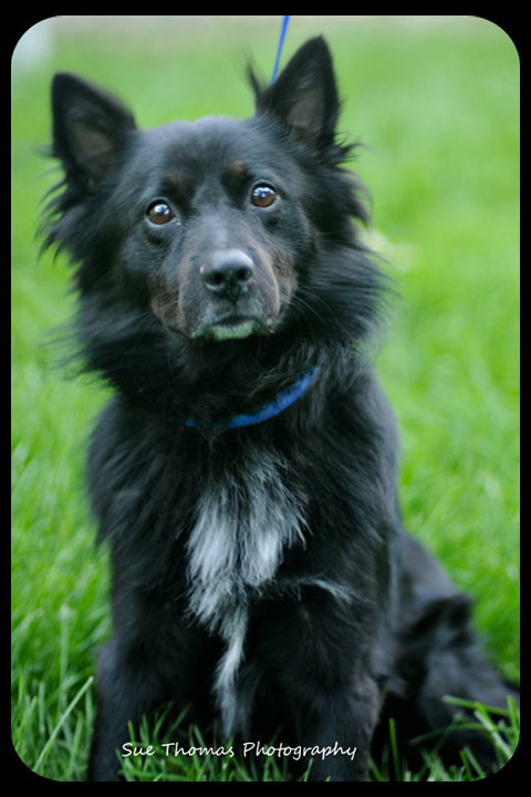 Benny