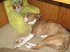 Milly