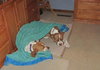 Milly