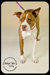 Milly