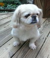 Pete