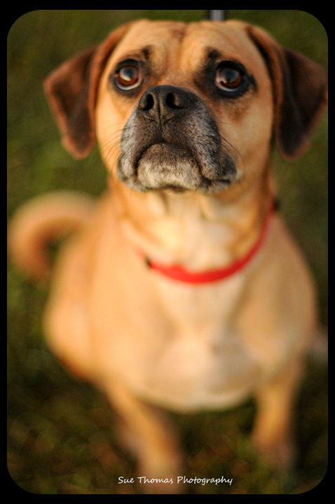 Max