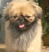 Arnie