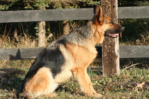 Gretta