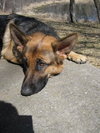 Gretta