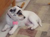 Buster