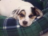 Buster