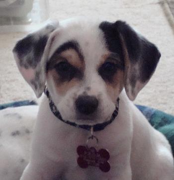 Buster