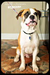 Seamus