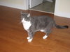 Colby