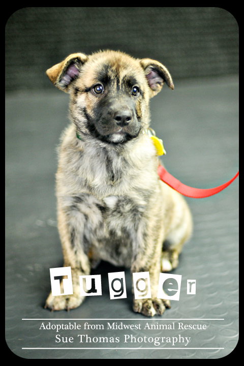 Tugger