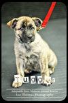 Tugger