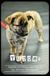 Tugger