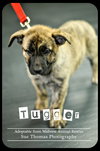 Tugger
