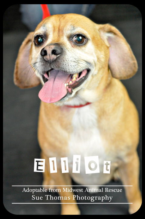 Elliott