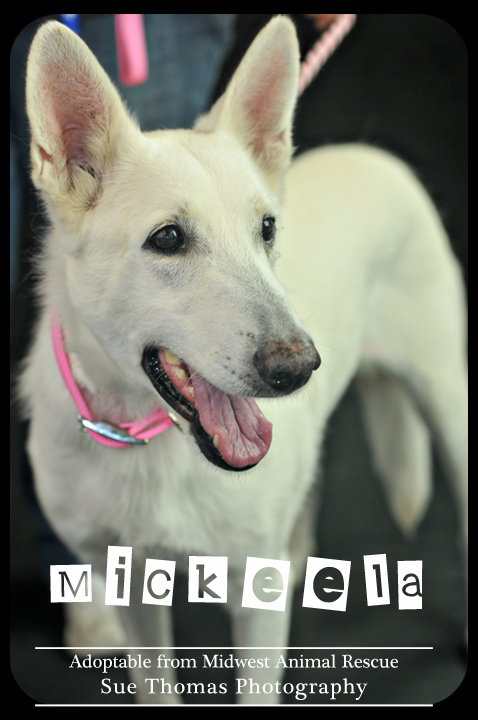 Mickeela