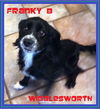 Franky B