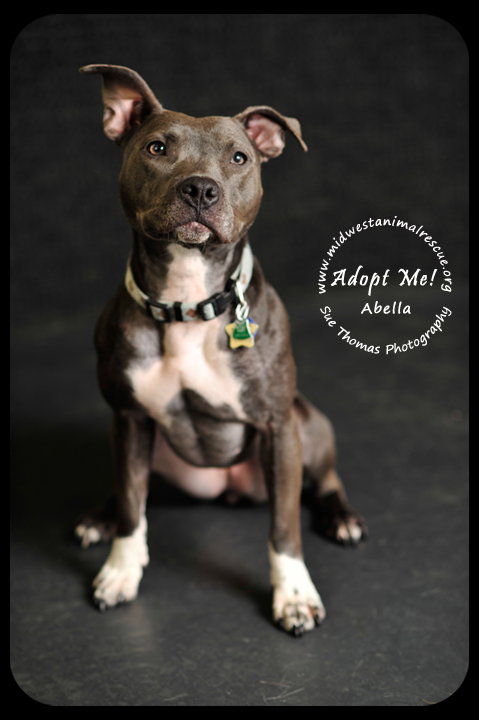 Pippa aka Abella