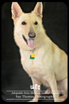Pia