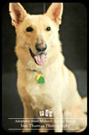 Pia