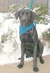 Black Jack