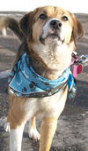 Fiona