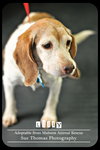 Lilly