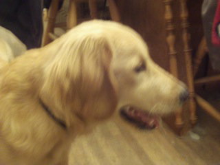 Braxxton