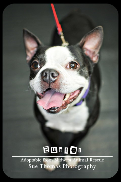 Buster