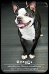 Buster