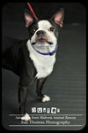 Buster