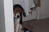Ellie Mae