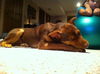 Keaton