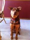 Keaton