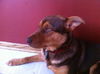 Keaton