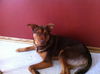 Keaton