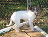 Rylee