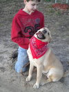 Rolo