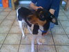 Shiloh