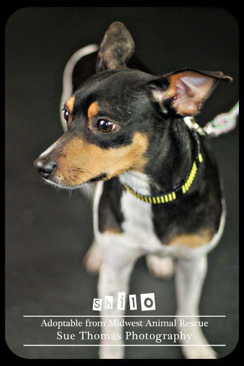 Shiloh